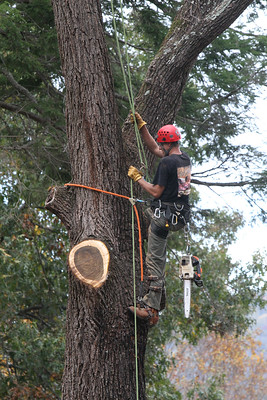 Business Image 5