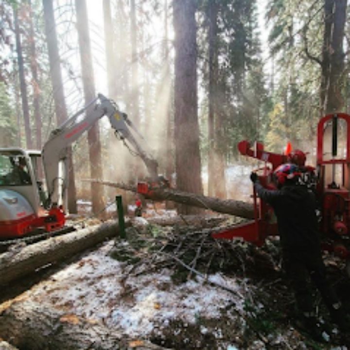 Business Image 12