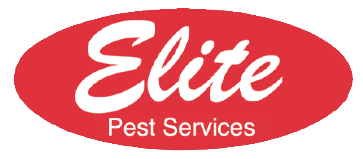 Business Image 0